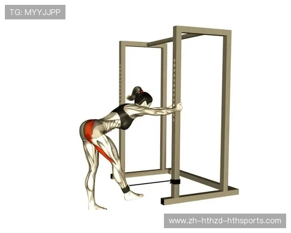 适合臀部的健身器材在体育塑形训练计划中的实操推荐